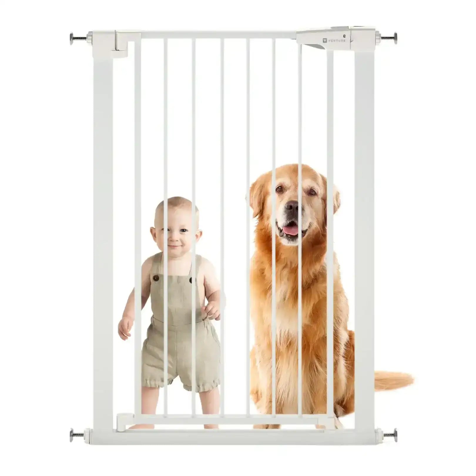 Safety Gates & Guards